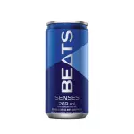 SKOL BEATS SENSES 269ML