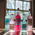 4B - Kefir de Agua -  Kion Botánica