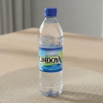 ÁGUA 500ML SEM GÁS LINDOYA