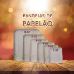 BANDEJAS PAPELÃO