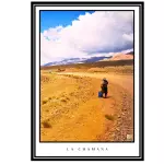 Lámina La Chamana