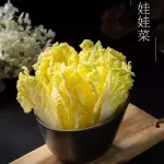 REPOLLO CHINO 娃娃菜