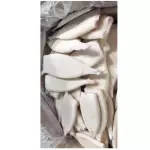 TUBO DE CALAMAR SECO XKG
