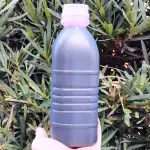 Quentão 300mL sem leite