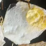 Ovo