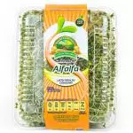 Germinado de Alfalfa 200 grs
