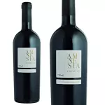 Amnesia Supertoscano
