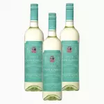 🇵🇹 CASAL GARCIA (vinho verde)