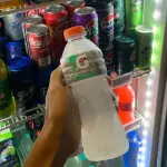 GATORADE LIMÃO 500ML