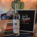 Mezcal Mexicat