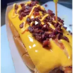 Perro Tocineta