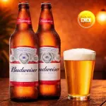 2 BUDWEISER'S LITRO