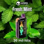 Fresh Mint