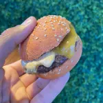 Mini brie