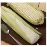 Helado de Elote en su Cascara