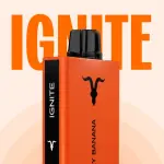 V55 ULTRA LARANJA  | 5.000 PUFF