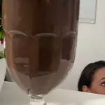 Shakes Proteico Chocolate Sansention