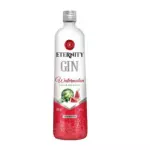 Eternit melancia 1L