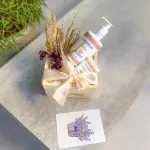 Cesta Spa