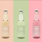 SODAS HATSU VARIOS SABORES