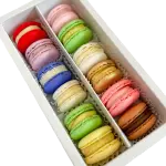 Macarons Double Box