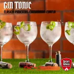 Gin Tonic
