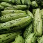 ZUCCHINI 2 UNDS