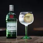 GIN frutas (tanqueray)🍀