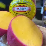 Reino Metade - Cuia