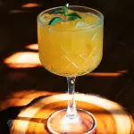 Gin de Mango