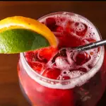 SANGRIA PREPARADA vodka