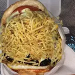 Burguer Raiz