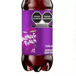 Delaware Punch 600 ml