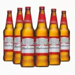 🇺🇲 BUDWEISER 600ml