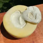 Meia Cura Trufado c/ Requeijão 550g