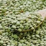 LENTILHA VERDE CANADENSE