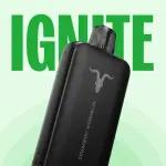 IGNITE V500 - 50.000 PUFF 💨