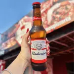 Cerveja Budweiser 330ml