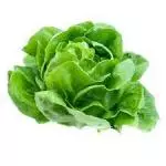 Lechuga Francesa