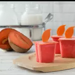 Mamey Ice Cream