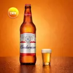 BUDWEISER, 1L