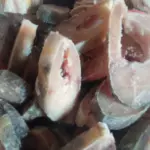 Posta de tucunaré in natura