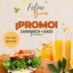 BRUNCH JUGO 600 ML+ SANDWICH PREMIUM