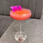 ROSA TROPICAL