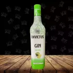 Gin Invictus Maçã Verde 900ml