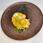 Temaki natural