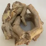 RABO DE RES SALADO