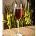 Copa de Vino