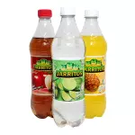Refresco de 600 ml