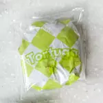 Tortuga